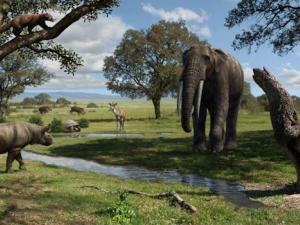La diversidad de grandes mamíferos en la Península Ibérica ha sido mayor en el pasado que hoy en día. Este es el aspecto de las faunas que habitaban lo que hoy es Madrid hace unos 15 millones de años. / Mauricio Antón. 