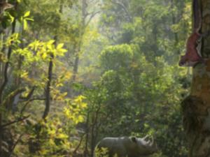 Reconstrucción paleontológica de una ardilla voladora (primer plano) en los ambientes forestales de la región septentrional (Cataluña y sur de Francia) hace unos diez millones de años. / Oscar Sanisidro (VERTEBRATE PALEONTOLOGY. BIODIVERSITIY INSTITUTE, UNIVERSITY OF KANSAS)