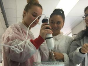 Juega (y aprende) con la ciencia de la UCM en su gran semana