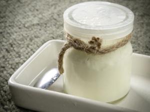 Los expertos han analizado la concentración de la bacteria en yogures caseros para comprobar la influencia del pH en su supervivencia. / HaiRobe (PIXABAY)