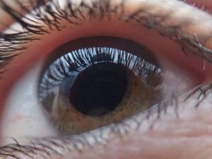 La Universidad Francisco de Vitoria (Madrid) y Johnson & Johnson ponen en marcha el Aula UFV J&J en Microcirugía y Cirugía