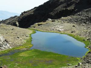 Laguna de Aguas Verdes (Sierra Nevada). / Universidad de Granada