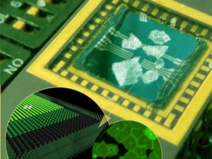 'Chip' de sal diseñado por investigadores de la Universidad de Zaragoza en colaboración con el Centro de Nanotecnología de Londres y la Universidad de Liverpool. / UNIZAR