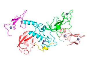 Estructura del cristal de Parkinson. / Jftrempe (WIKIMEDIA)