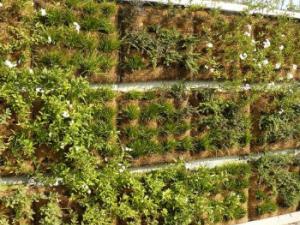 Jardín vertical modular (Civitanova Marche, Italia) / Francesca Olivieri