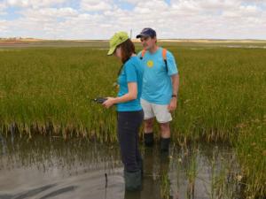 Medida de parámetros químico-físicos en las aguas de la laguna durante la época húmeda. / GEA