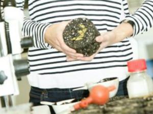 Muestra del innovador asfalto ecológico. / Pasquale Caprile