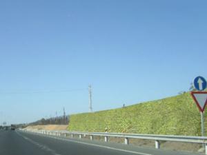 Nuevas pantallas acústicas vegetales instaladas en una autovía de Las Palmas de Gran Canaria. Fuente: UPM