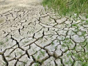 Sequía. / jodylehigh (PIXABAY)