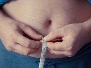 La identificación de una nueva función de una proteína abre la puerta a nuevos tratamientos contra la obesidad