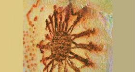 Portada de <em>Chemical Poems: one on each element</em>, Mario Markus. 