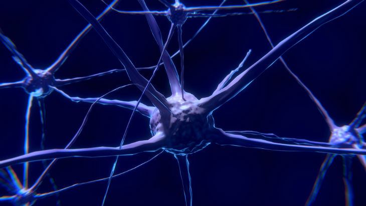 Nuestra consciencia sería posible gracias a unas "neuronas gigantes"