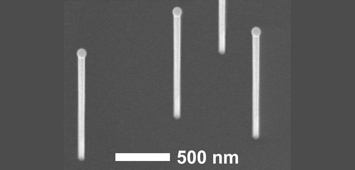Nanohilos de arseniuro de galio crecidos sobre un sustrato de silicio. Sobre los nanohilos se pueden observar las gotas de galio que catalizan su crecimiento vertical. El resultado, nanohilos con una longitud 100 veces mayor a su diámetro. / UAM