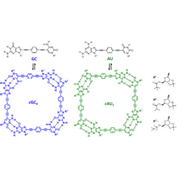 Monómeros GC y AU y sus correspondientes especies tetraméricas cíclicas formadas a través de enlaces de hidrógeno de tipo Watson-Crick. /UAM