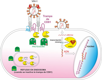Imagen: Miguel Vicente-Manzanares