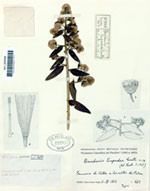 Exposición: Juan Isern Batlló Carrera