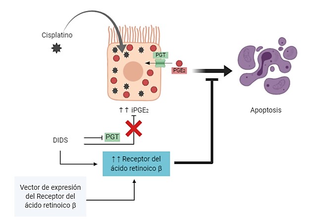 /Users/john/Google Drive/Noticias (John)/_Fernández/2020_04_XX Fernández.jpg