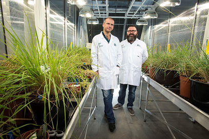 Jurriaan Ton y Duncan D. Cameron